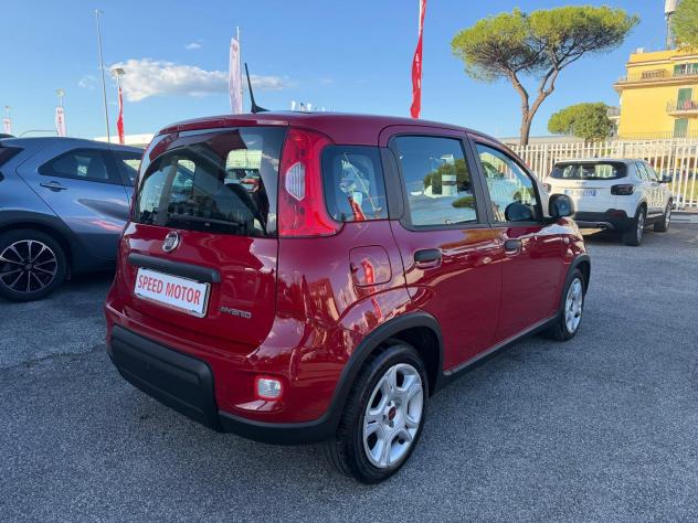 FIAT Panda Panda 1.0 firefly hybrid 70cv 5 POSTI, PRONTA CONSEGNA! - Foto 6