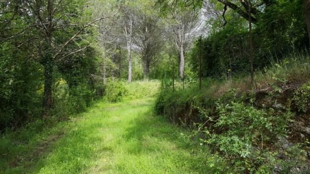 Borgo S.Lorenzo fabbricati mq 660 e 38 Ha terreno