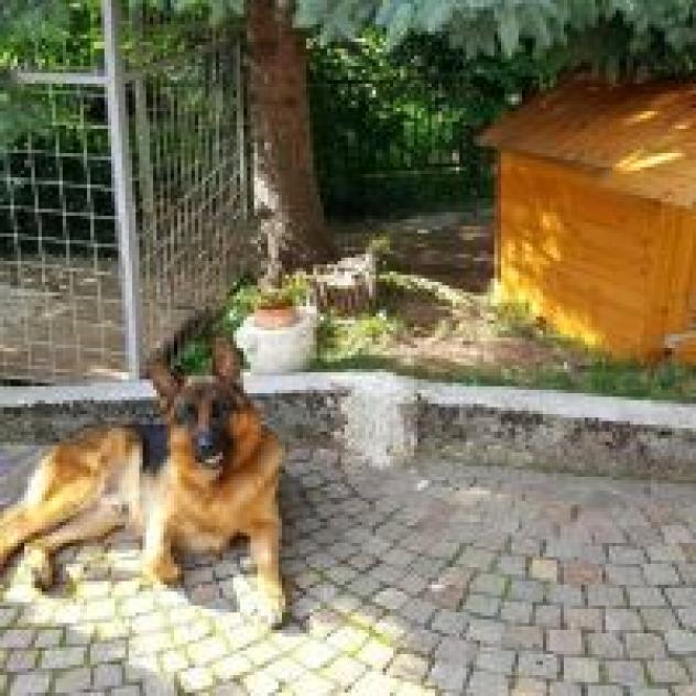 B&amp;B San Vito