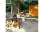 B&B San Vito