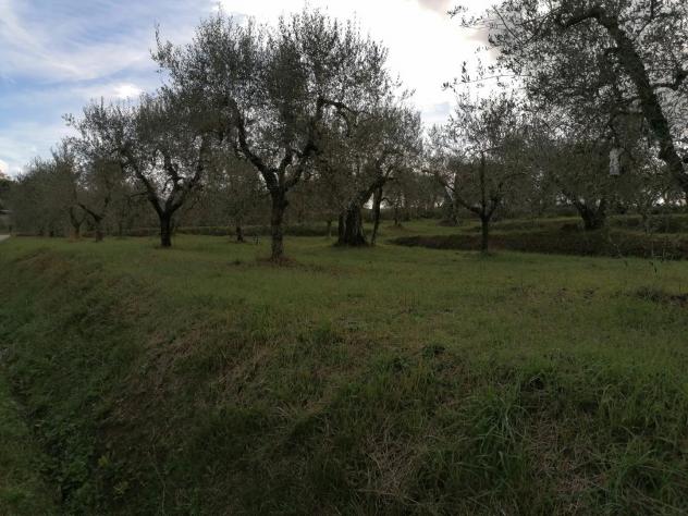 Terreno agricolo in vendita a Orceto - Casciana Terme Lari 3975 mq Rif: 1223667 - Foto 4