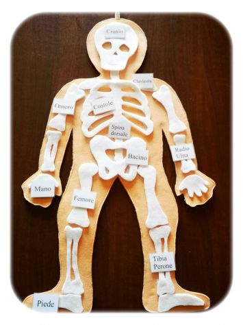 Libri Sensoriali bambini "Il Corpo Umano" - Foto 2