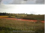 IMMOBILI-ALTRA CATEGORIA-Via Vigne Nuove a confine con S.P. di Ardea , Stra &hellip;