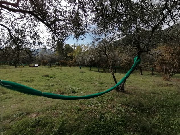 GIFFONI VALLE PIANA LOC. BELVEDERE Terreno di 13 ETTARI - Foto 4