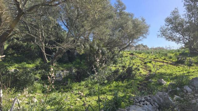 Agricolo in vendita a Siracusa - Foto 9