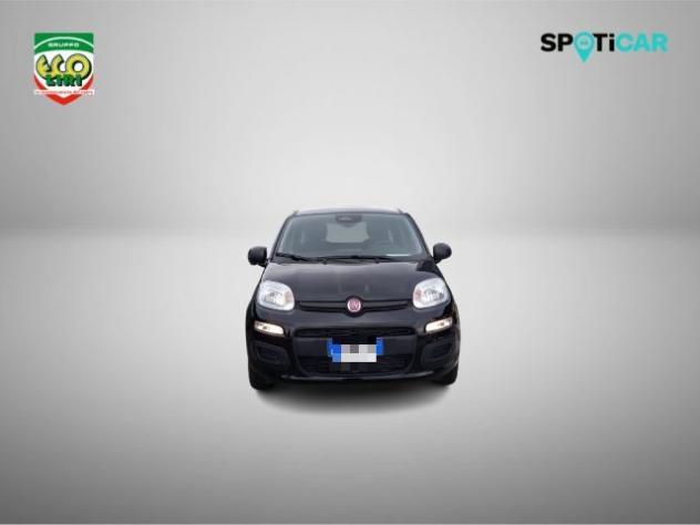 FIAT Panda 1.0 FireFly S&S Hybrid+GPL rif. 24175603 - Foto 2