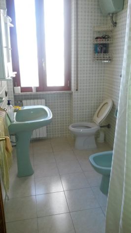 SINGOLE PER STUDENTESSE VICINO MEDICINA AGRARIA BELLE ARTI STUDI UMANISTICI - Foto 7