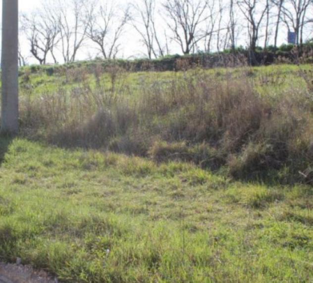 Immobile in asta di 2550 m² in vendita a Montegranaro - Foto 5
