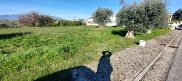 Immobile in asta di 6583 m² in vendita a Nereto - Foto 4