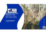 Immobile in asta di 147105 m² in vendita a Terranuova Bracciolini