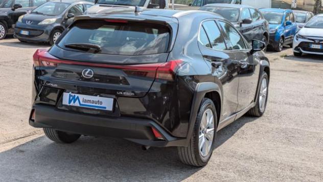 LEXUS UX 250h HYBRID BUSINESS 2WD 2.0cc 184cv(152cv) rif. 23765511 - Foto 5