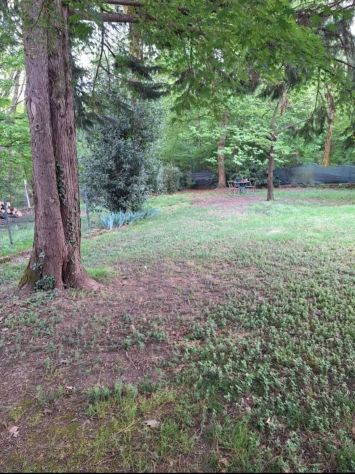 Villa con 4000mq di parco edificabile - Foto 4