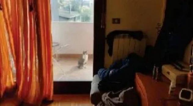 Immobile in asta di 83 m², box auto in vendita a Vigonza - Foto 8