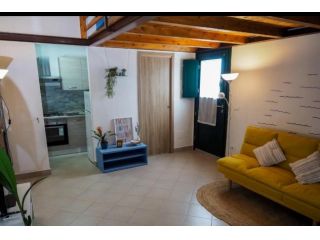 Appartamento in affitto a Marina di Pisa - Pisa 35 mq Rif: 1420619
