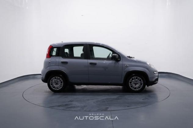 FIAT New Panda 1.0 FireFly S&S Hybrid rif. 23780418 - Foto 7