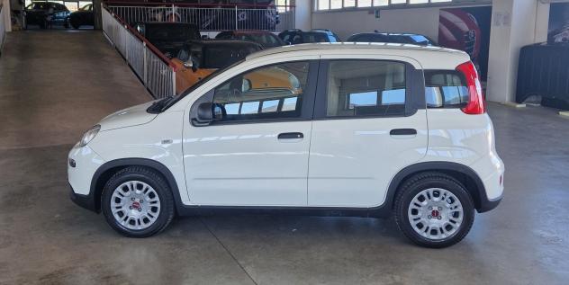 FIAT Panda Panda 1.0 hybrid s&s 70cv 5p.ti - Foto 3