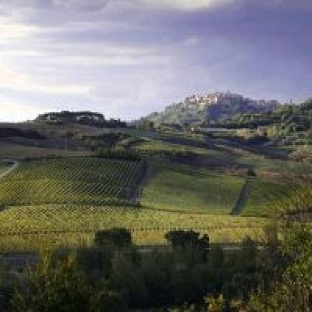 La Casina Ristorante di Valenti Riccardo - Foto 3