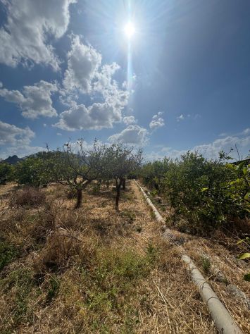 10 V074 Bagheria – Zona Specchiale | Terreno panoramico di 9278 mq - Foto 5
