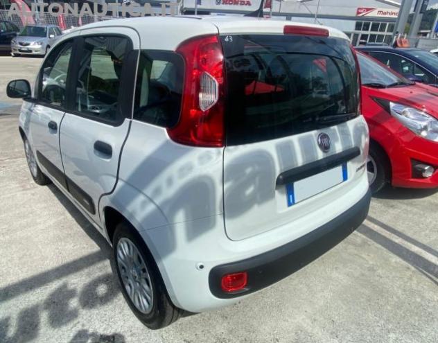 FIAT Panda 1.0 FireFly S&S Hybrid Icon 70cv rif. 24097576 - Foto 2