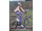 Bicicletta elettrica pedalata assistita