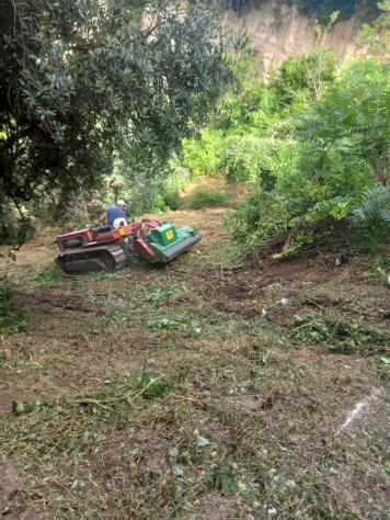 Uliveto in vendita a Morlupo - Foto 4