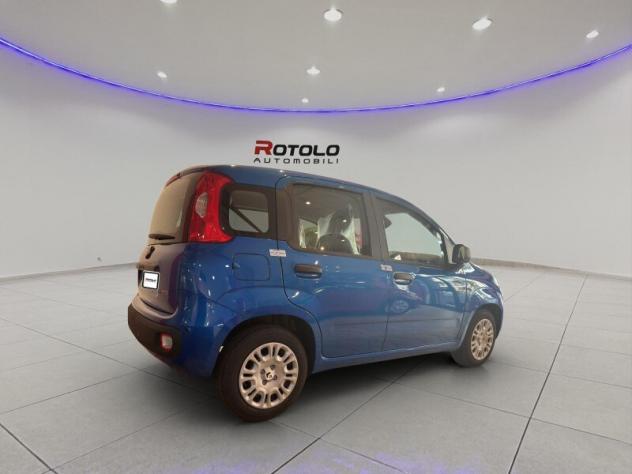 FIAT Pandina Pandina 1.0 FireFly 65 CV Hybrid Icon - Foto 5