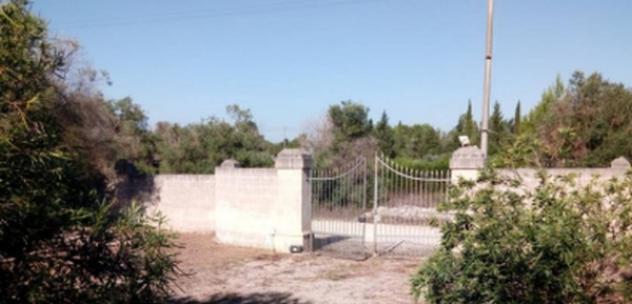 Immobile in asta di 222 m² in vendita a Arnesano - Foto 11