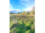 Terreno agricolo in vendita a Fauglia 22000 mq  Rif: 1076254