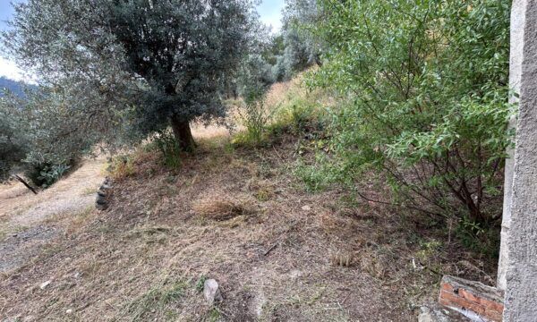 CASALE CON TERRENO IN CAMPAGNA - Foto 10