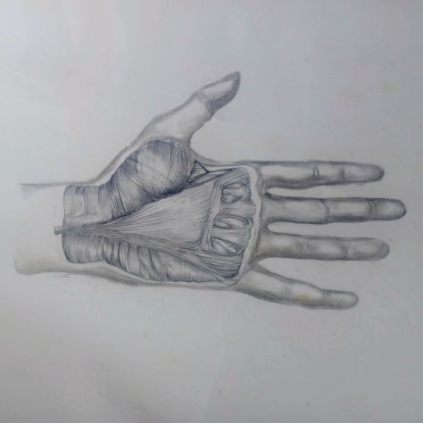 Corso di Disegno e pittura online