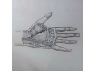 Corso di Disegno e pittura online