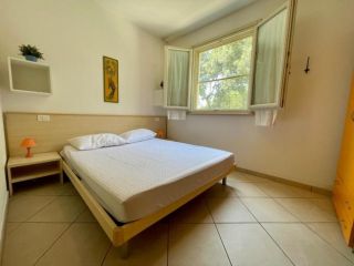 Appartamento in affitto a Tirrenia - Pisa 25 mq  Rif: 491273