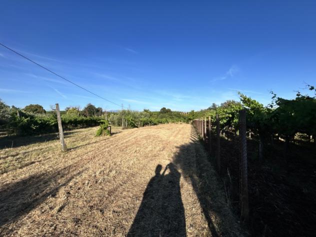 Agricolo in Via Presciano - Foto 5