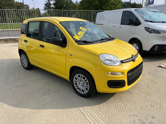 FIAT Pandina Pandina 1.0 firefly hybrid Icon s&s 65cv - Foto 3
