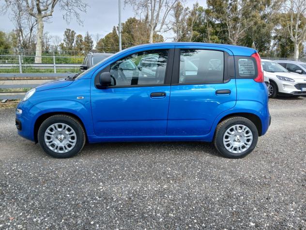 Fiat Panda 1.0 FireFly S&S Hybrid Pandina - Foto 8
