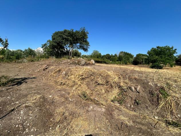 Agricolo in Vicolo Sant'Antonio in Canepine - Foto 8