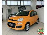 FIAT Panda 1.2 Pop *NEOPATENTATI* rif. 23685800