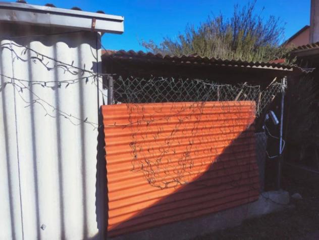 Immobile in asta di 116 m² con più di 5 locali e box auto in vendita a Palestro - Foto 3
