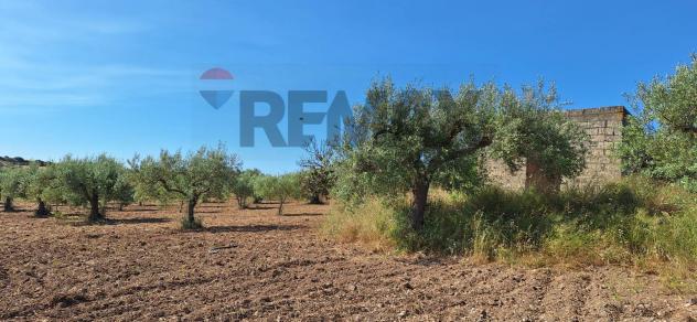 Terreno in vendita a Noto - Foto 7