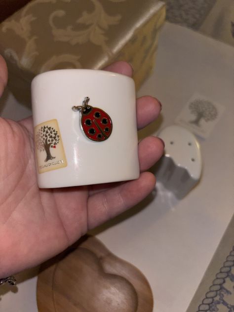 SET SALE E PEPE NUOVI INTROVABILI VINTAGE IN PORCELLANA E ARGENTO E BAMBOO - Foto 7