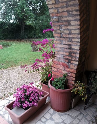 Casale ristrutturato con terreno sui quattro lati - Foto 6