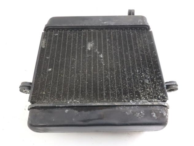 HONDA FORESIGHT 250 19010KEY901 RADIATORE 98 - 04 WATER COOLER - Foto 2