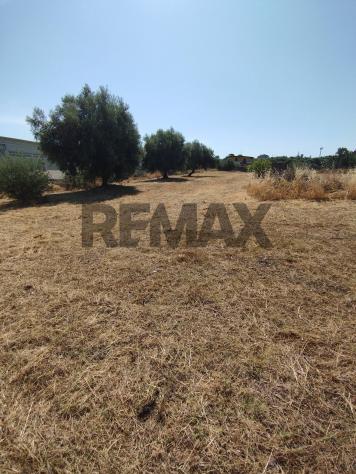 Terreno Edificabile in vendita a Motta Sant'Anastasia