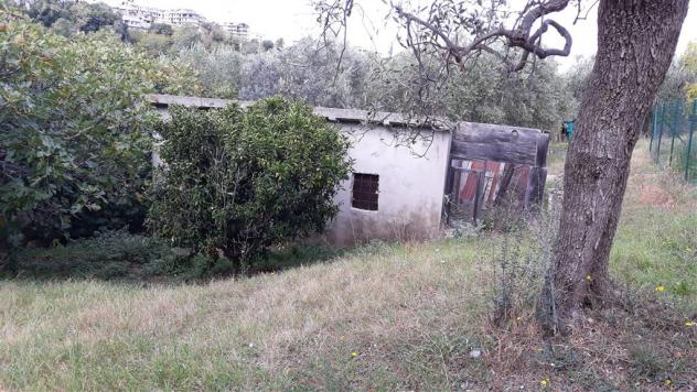 Vendita Terreno edificabile da 950 mq in Via Alessandro III con giardino - Foto 4