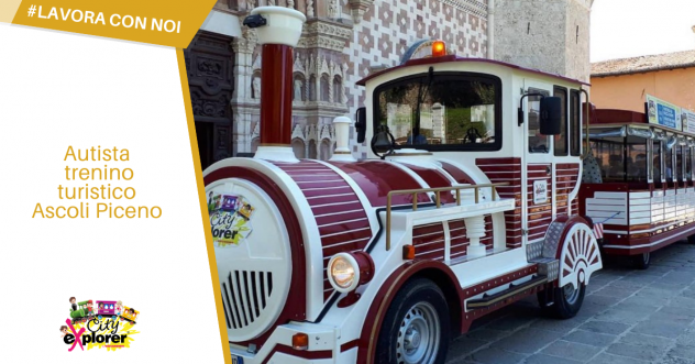 Autista Trenino Turistico
