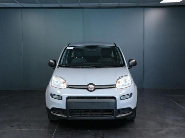 FIAT Panda 1.0 FireFly S&S Hybrid rif. 23905445 - Foto 2