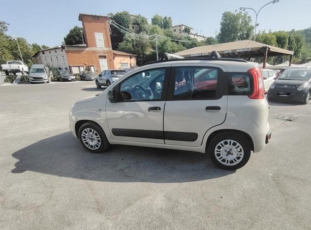 Fiat Panda 1.2 Pandazzurri - NEOPATENTATI - Foto 5