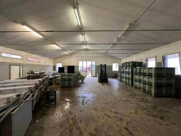 Immobile in asta di 40655 m² in vendita a Morgano - Foto 16