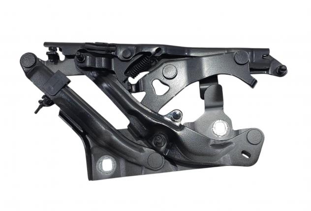 CERNIERA COFANO ANTERIORE DX AUDI Q5 Serie (FYB) 80A823302D (17)