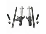 Coppia foderi forcella con molle Aprilia RS 50